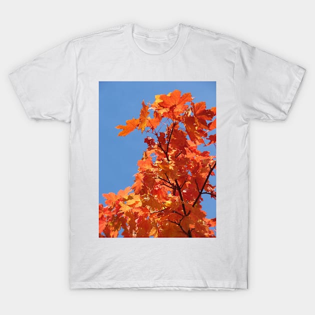 Autumn T-Shirt by Chris Petty